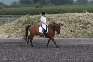 ISIS Dressage Challenge 2008